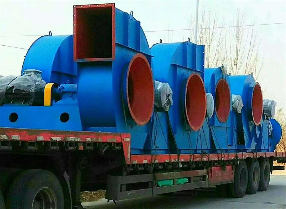 �����ֳ�